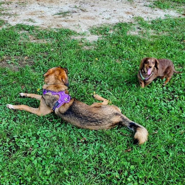 E578886c 9a57 4434 889f 67c697c6df37 1725683359283