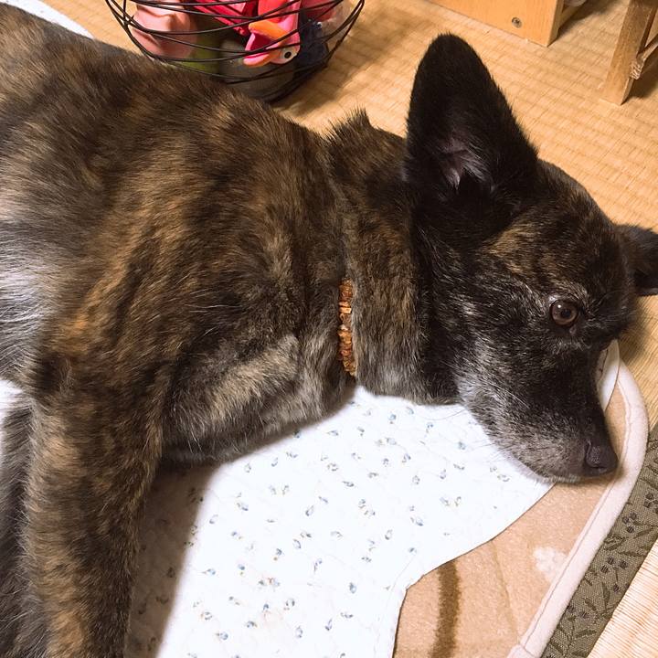 E5788f34 0ab9 4d97 9e79 e6f9860c57cd 1531629037595