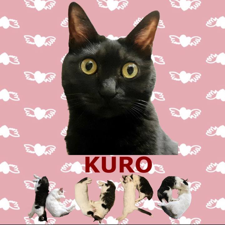 E578b0a6 7ad0 44e8 8361 ad52375b5a09 1668692564455