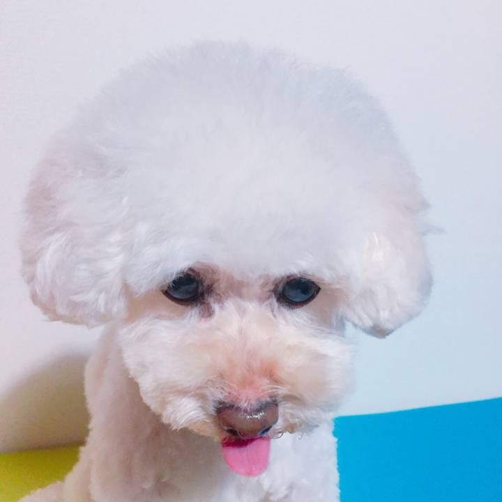 E578d2f4 24fd 43b8 a5f4 295267d3819b 1518993239036