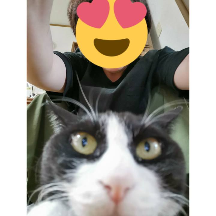 E578f606 27c7 4a4c a14f cb862c27b9b3 1656748368853