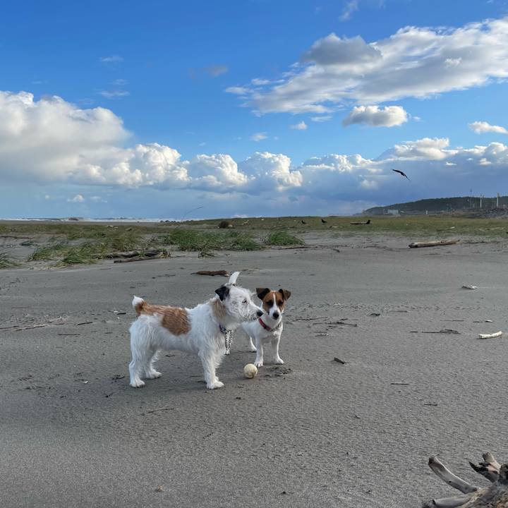 E5791dfb 260a 4ed4 850f 5ac4094c7b09 1634772481112