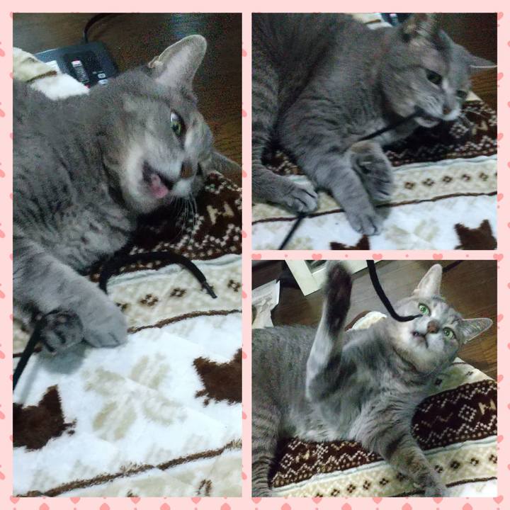 E57923b3 39c7 4ed4 b2e6 5a313b6989de 1668078743078