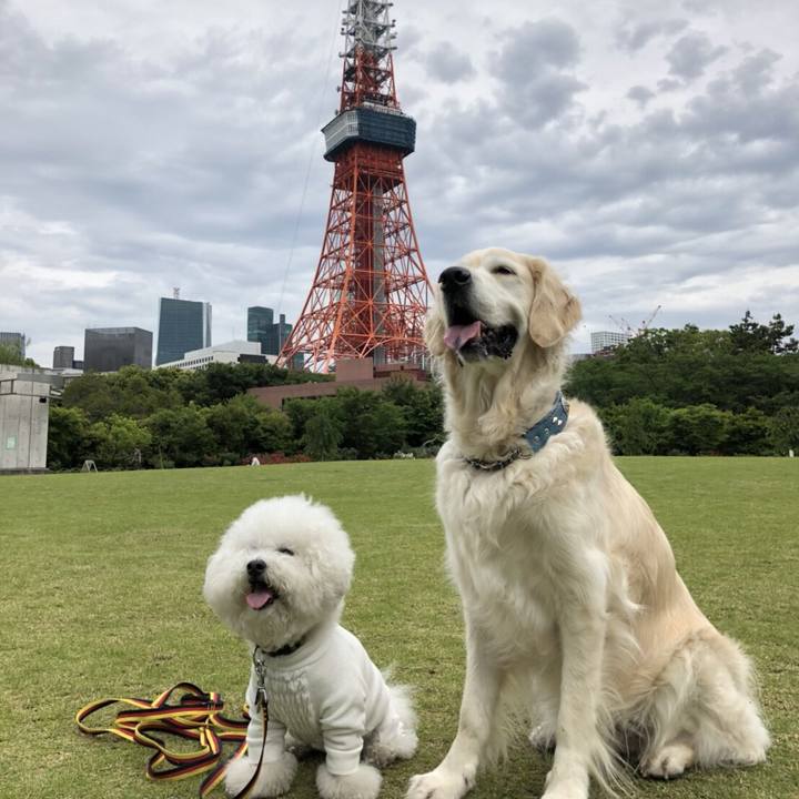 E5792592 b735 4d91 a23b 1ce1b2379573 1526293337685