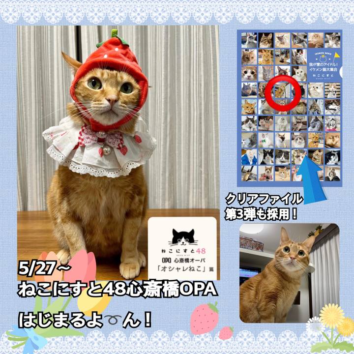 E5792634 f91d 4e4b 9bb7 51b2969ea45e 1653430612228