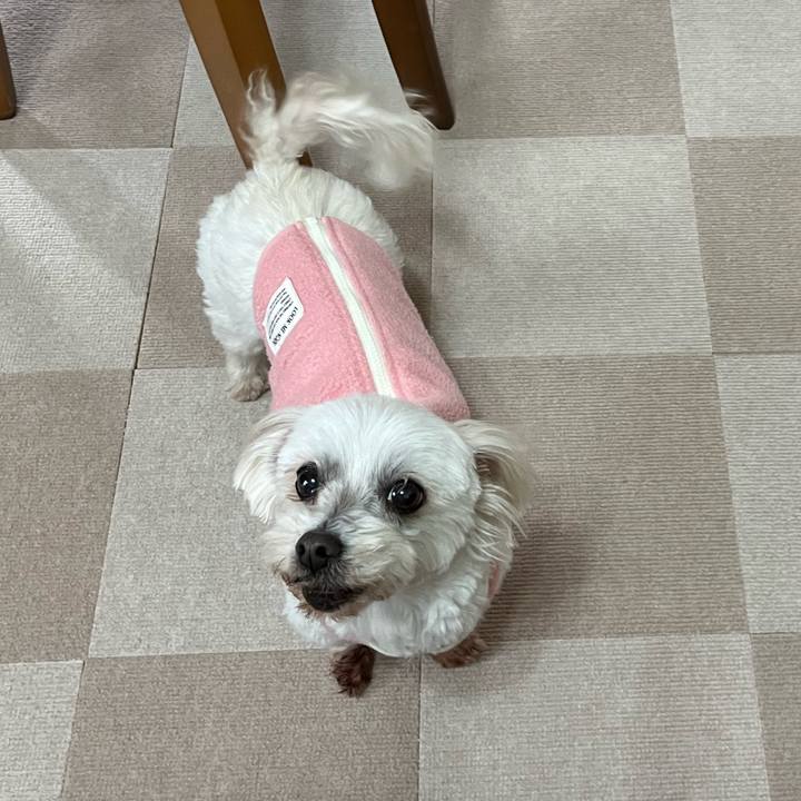 E57955ce ead2 458f 85b4 6f5439b4bab2 1708344132188