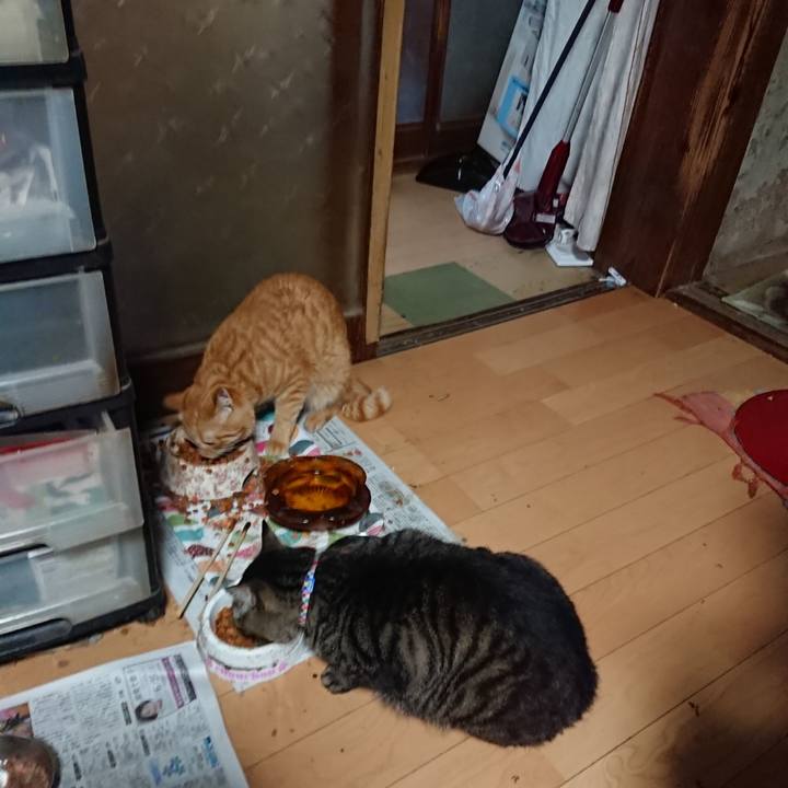 E579613a 861d 482e b32b 3058fdcf6718 1657919955229