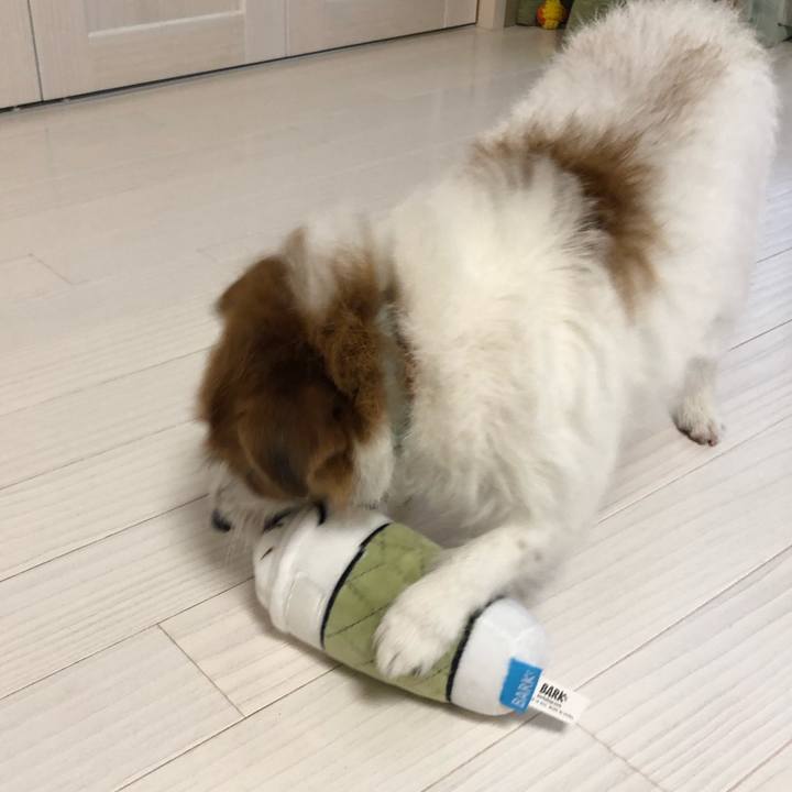 E5797a93 bf71 4098 a42e 46b5f89cccb4 1574493204466