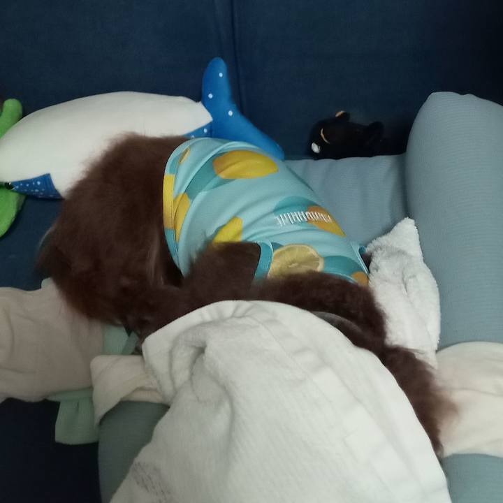 E5799a44 7fe0 4ed4 8a27 135f4d04ff8f 1760134984589