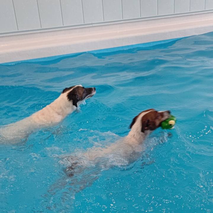 E579ab07 b6f3 48f7 9856 e374d41cd72c 1642315487608