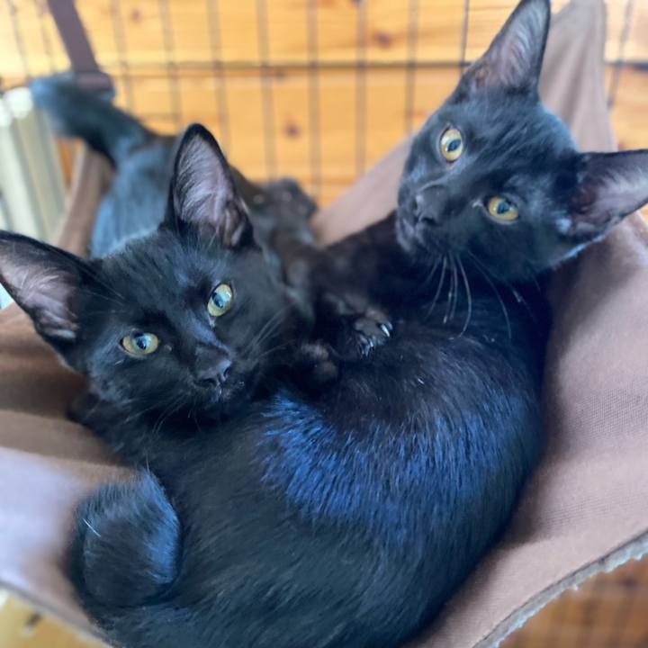 E579eeab b21c 4ebf 914f 0a7f970bb2b2 1754229222689