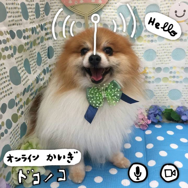 E57a1538 2a2d 4592 8314 919b0c3c701b 1593524695360