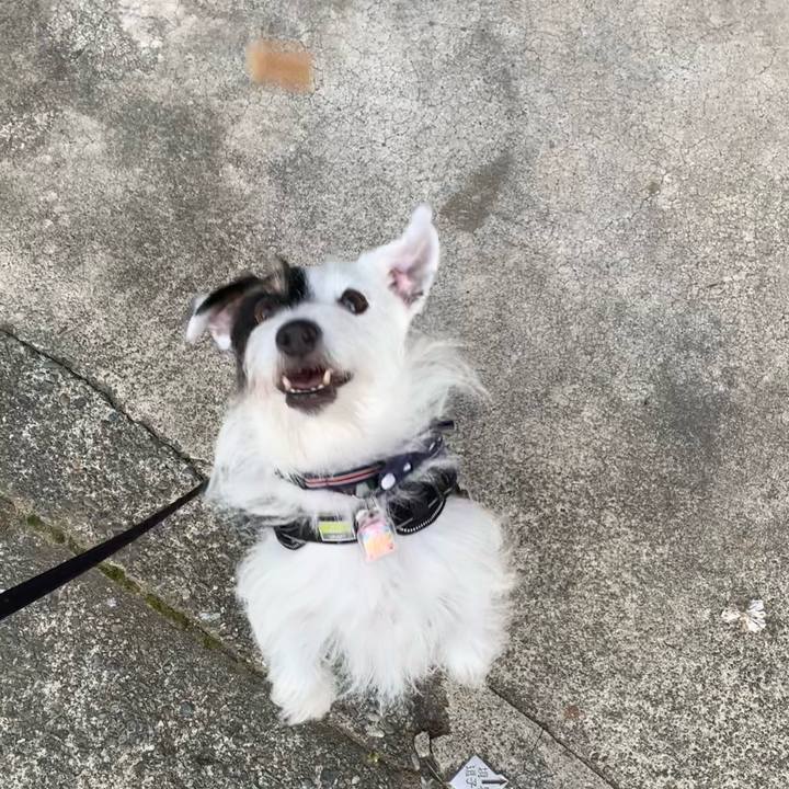 E57a1ee7 0909 4578 ac7f 7c09adb005de 1664786427516