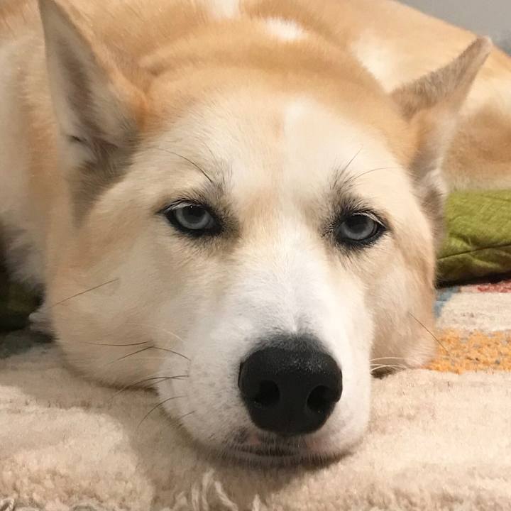 E57a46f1 8f22 4849 80c6 0a63bcb6c63b 1545362632638