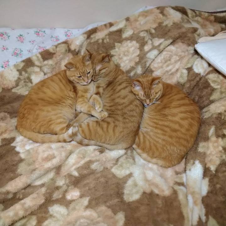 E57a7225 a670 47a4 8358 985d1ff391f4 1589441271115