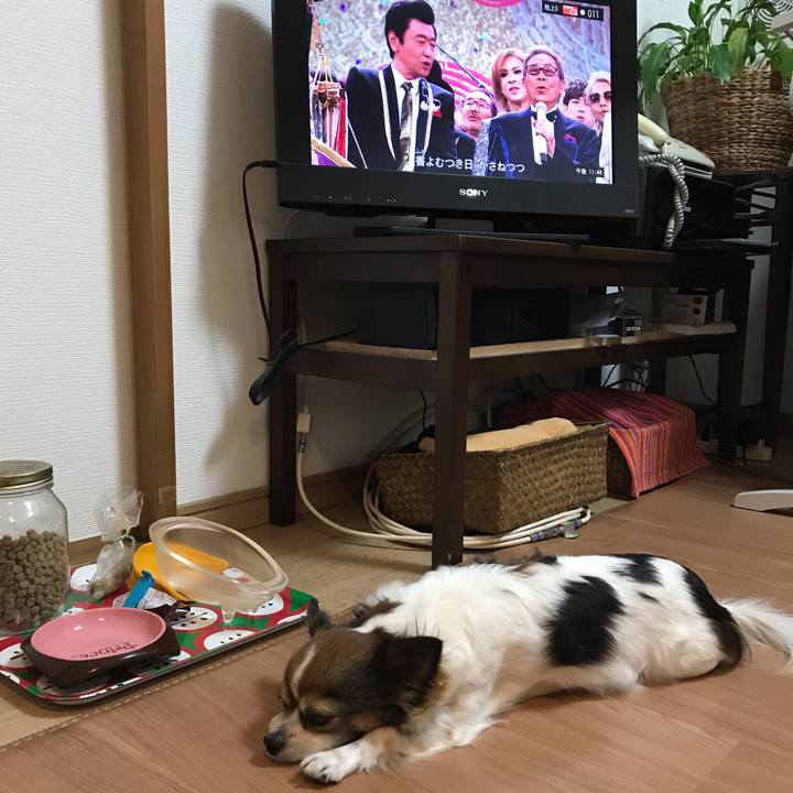 E57a9b50 b85b 47a9 96c0 fc56d123b6cf 1546267542687