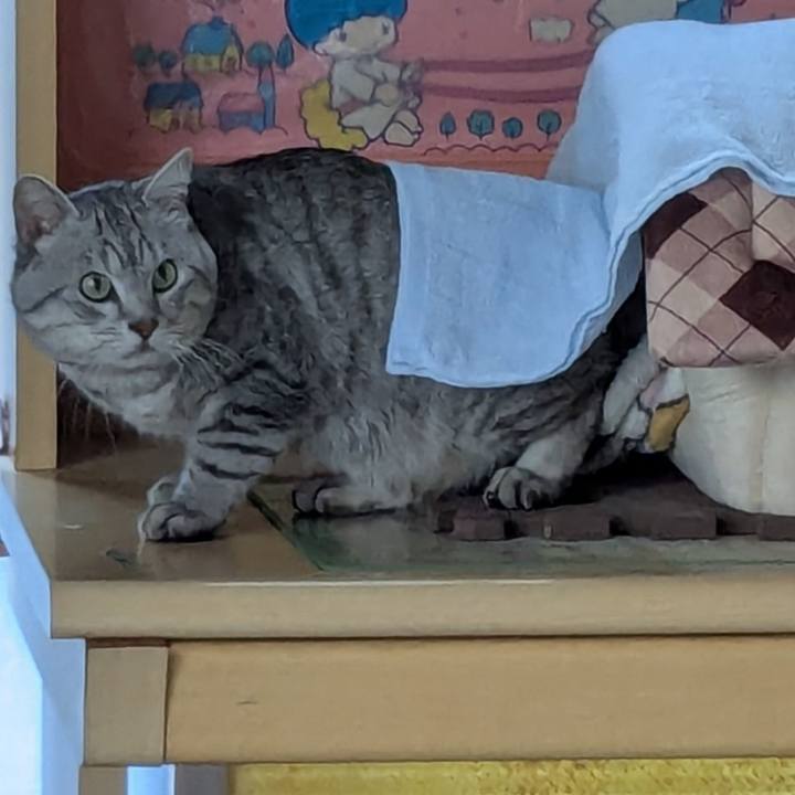 E57aa36f 5b05 4a5d a0b4 6b5baf361e5b 1765457372175