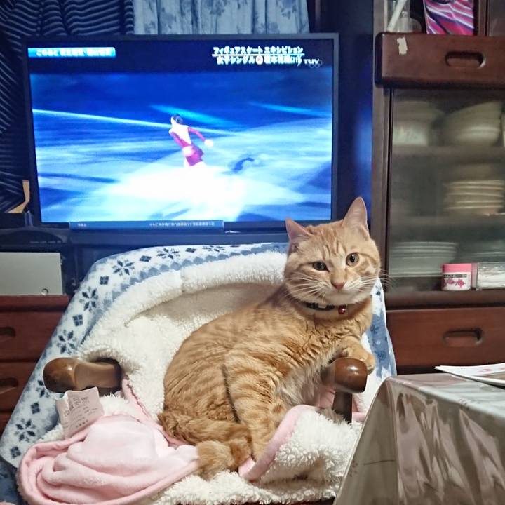 E57aad18 ca2e 4bf7 800c d7597ece48da 1645357422202