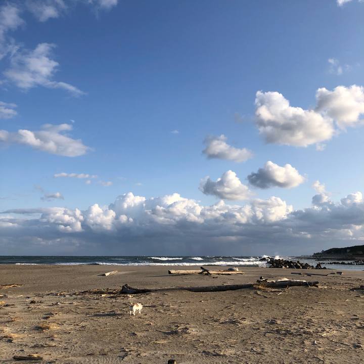 E57aba53 722c 499f b82d 94fbff68a0c4 1604012215669