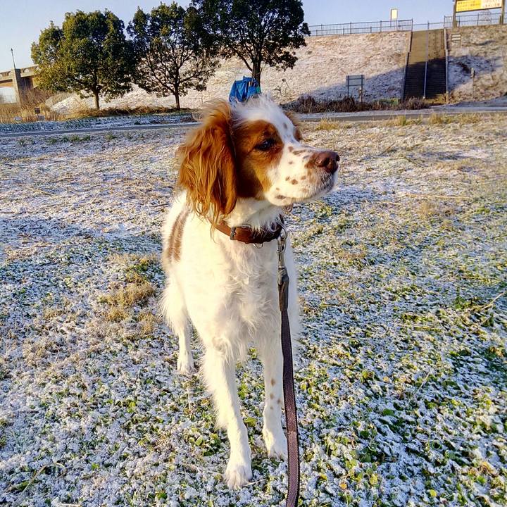 E57abebd 38ef 49a5 88da 6f5e27bc232a 1517022107707