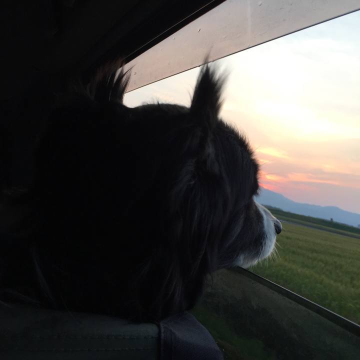 E57b044b 9320 4695 8ccc 8cefaafa734f 1588327109970