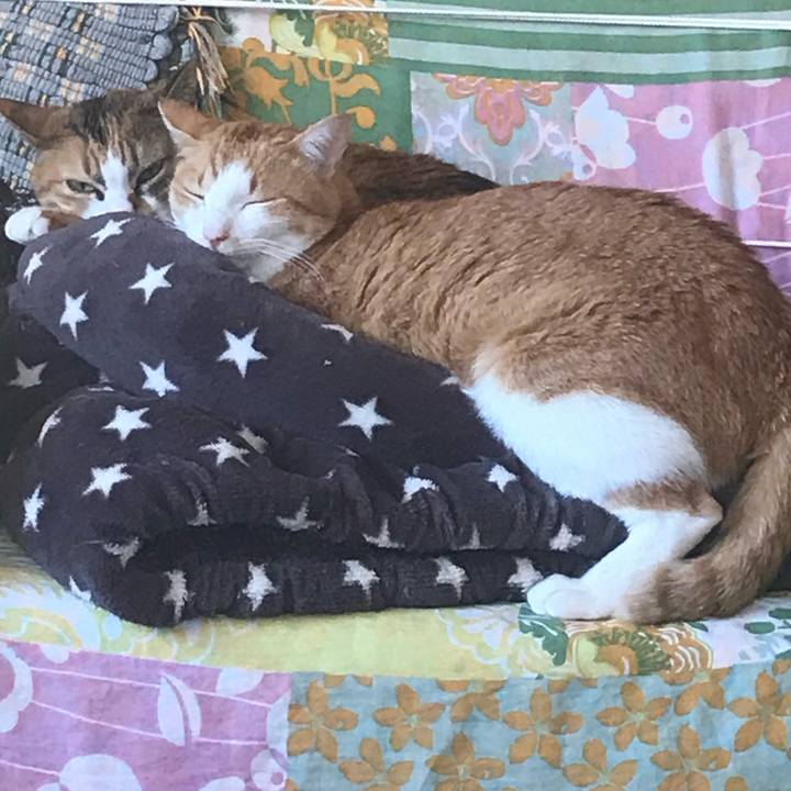 E57b1509 1307 4685 9ece 0ef65a7f0448 1618747934557