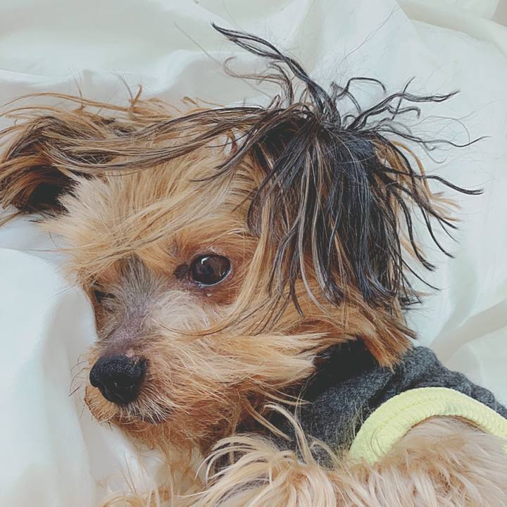 E57b4f35 a2c1 44eb 81ce b39c1574a695 1584834191137