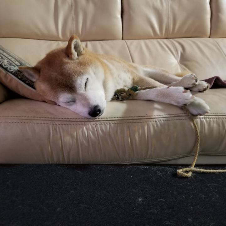 E57b5c91 da82 4332 805a a471006403eb 1700177418084