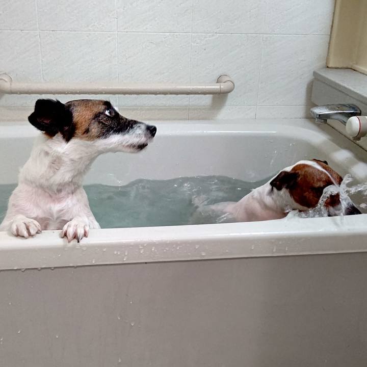 E57b5f51 603e 4e63 9f2e 6fd5b768a1e0 1621759018543