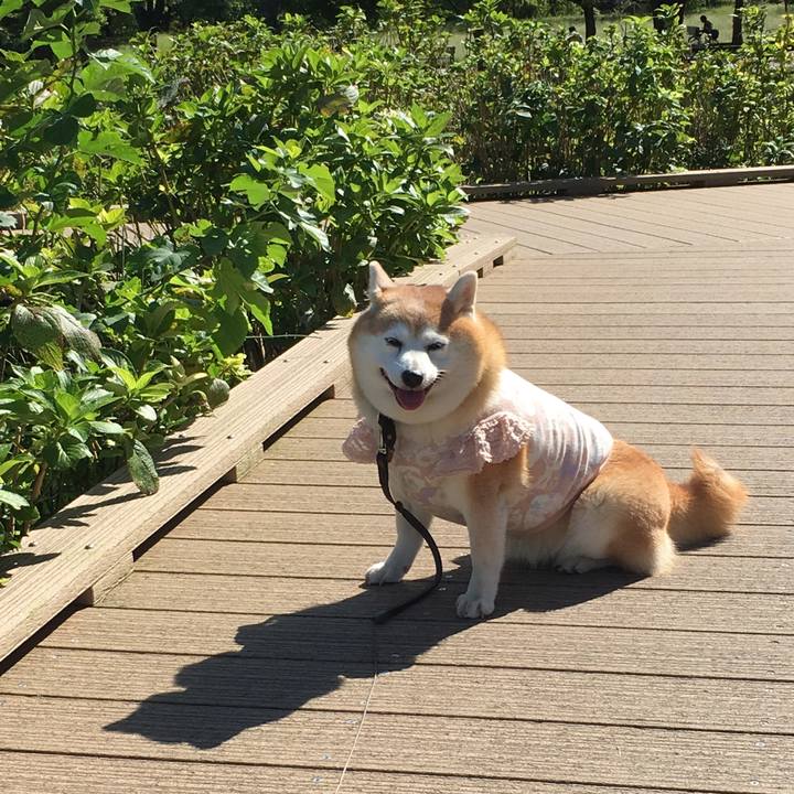 E57b6660 3885 40d6 adbd 818600032114 1570706760311