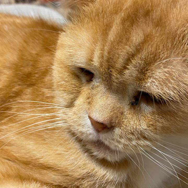 E57b6c0b cc85 42b2 a314 e2ab46882679 1627383687637