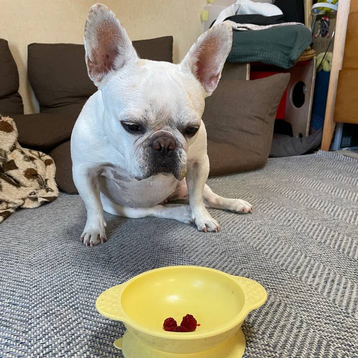 E57b7efb 31ae 4de5 a9ec 4b64f74b9417 1750641926578