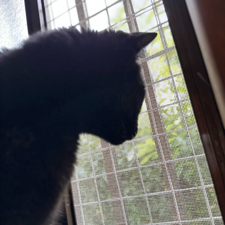 E57ba371 9e2b 4c08 bb39 640f4cbe1fb9 1663725548310