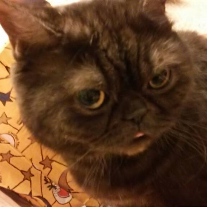 E57bbae1 a4f9 4ece 8139 dc5cc7bb1cf6 1549547359333