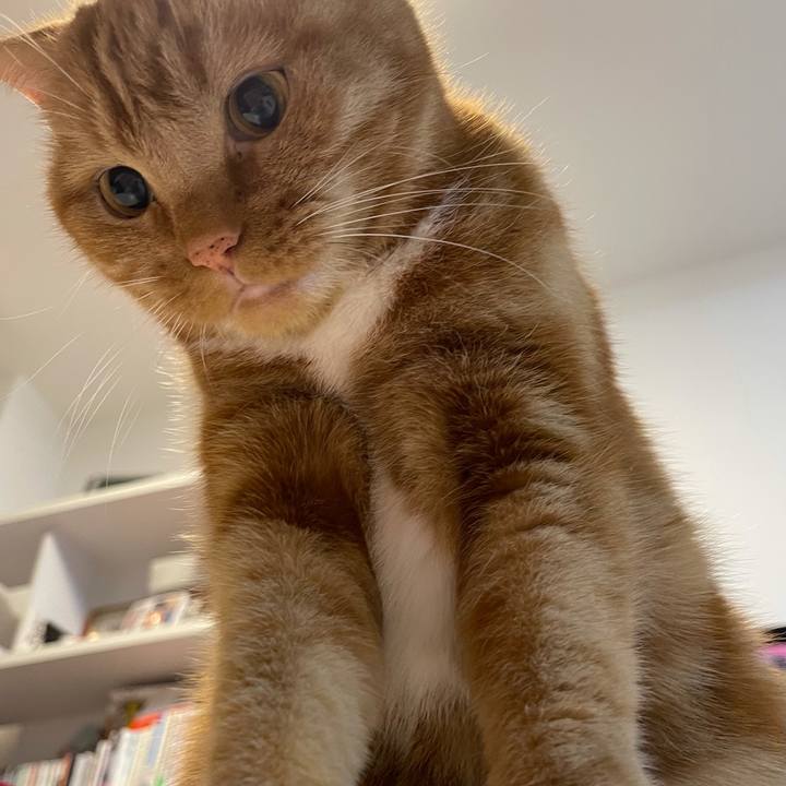 E57bbcca 9bae 4a8c accc af4c6ef512e3 1626878868517