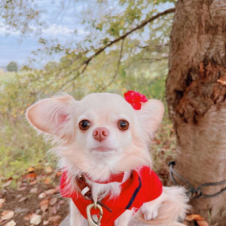 E57bc597 5aec 4f0a a393 8943ad531d7a 1665563349790