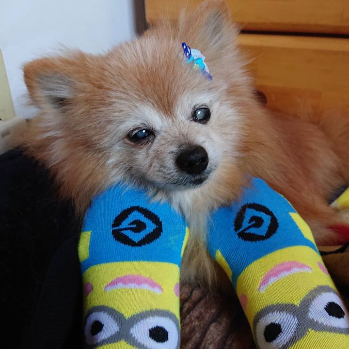 E57bd8dc e61d 45db 8130 197b51b2b7f2 1683618851918