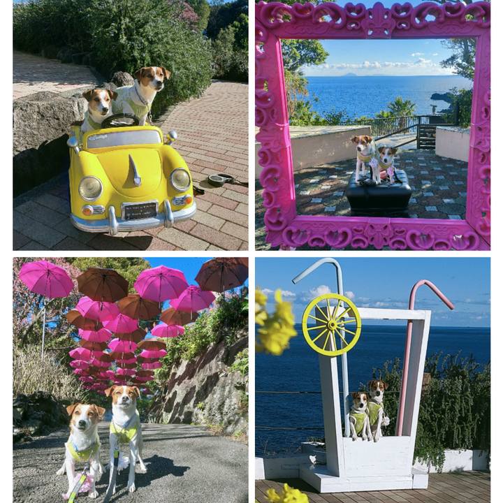 E57bec07 ff14 45fb bc11 0910d7c5b95d 1769162838052