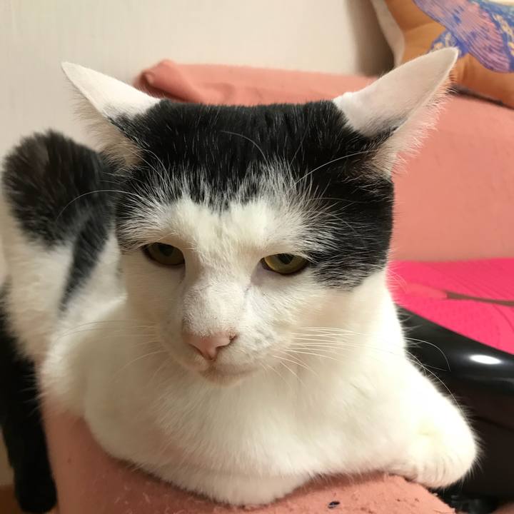 E57c023f 769e 4fd3 9b32 f6f205333792 1527115140790