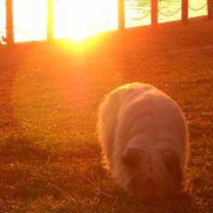 E57c0e07 8a78 4ad4 913f 5efbc0bc2231 1509954434570