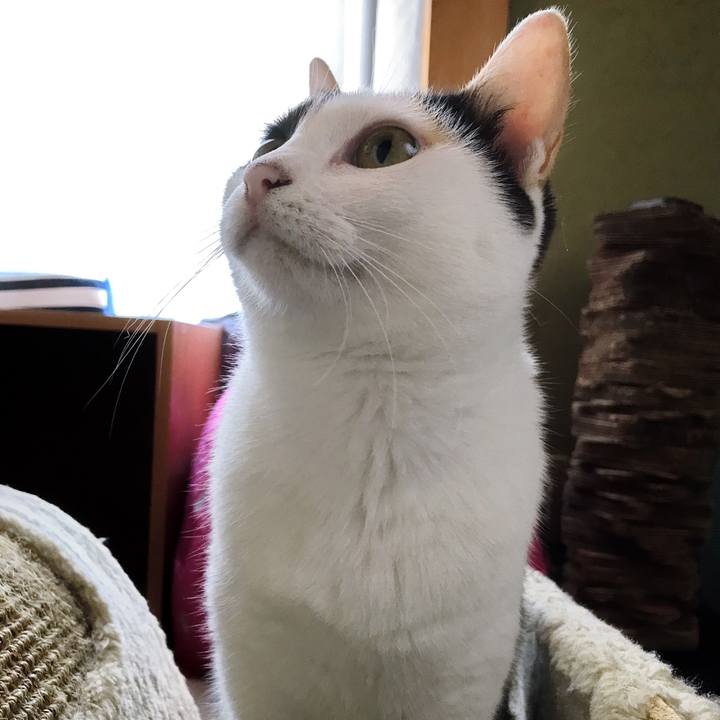 E57c1b9b 36e6 4fe9 ac09 b66e403bec34 1508039277808