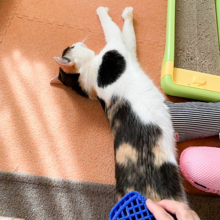 E57c290b 30d9 47ec 9375 435e750b06db 1573353027022