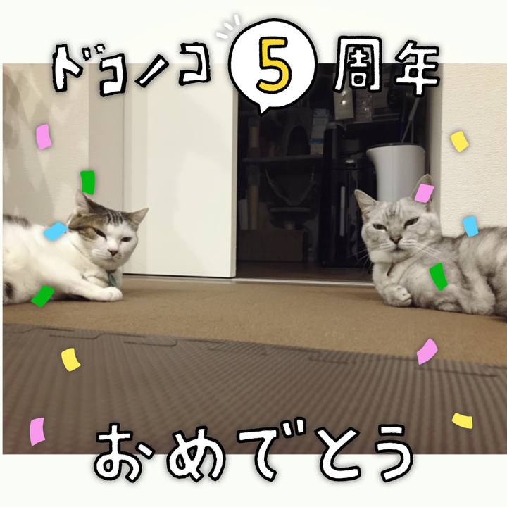 E57c36ab 7fc3 4056 8368 eafb00a64c5c 1622946366590