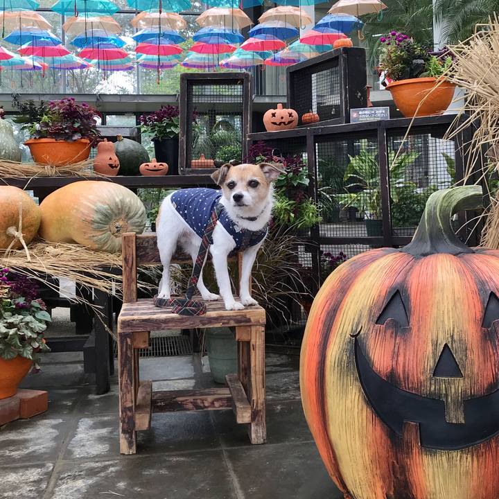 E57c646d d5d8 4e04 a6e5 bea9413d5c80 1603663224028