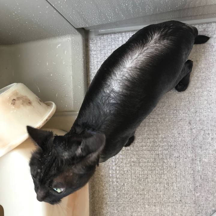 E57c8e9c 8b99 4d03 8264 725cb3b2ef5e 1525167297794