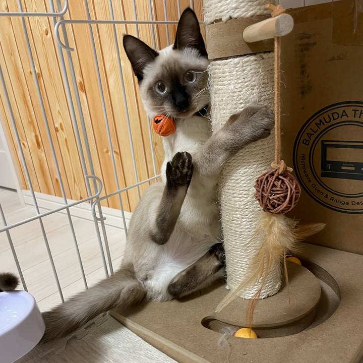 E57d0180 3b30 4b2f aa2f 4a6989192a60 1697399614371