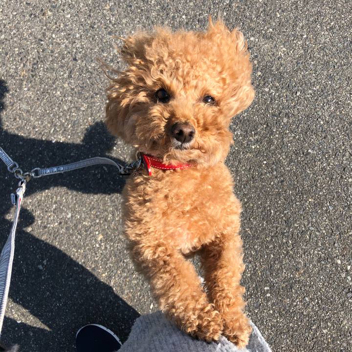 E57d07c7 7f32 43e5 ac4b 997d65eb6e1c 1584504255982