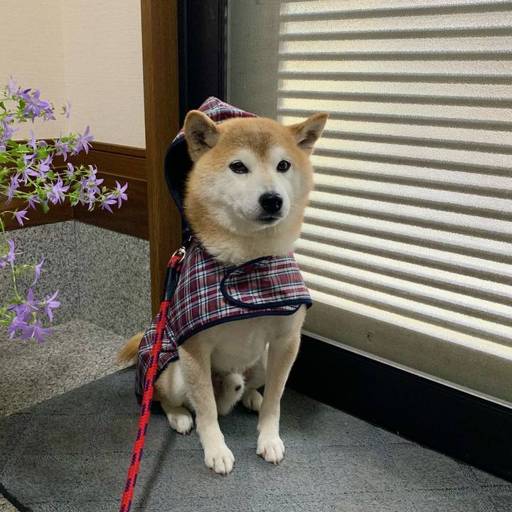 E57d33d0 9f82 4fda 80da b6118cdd6f8a 1685350772324