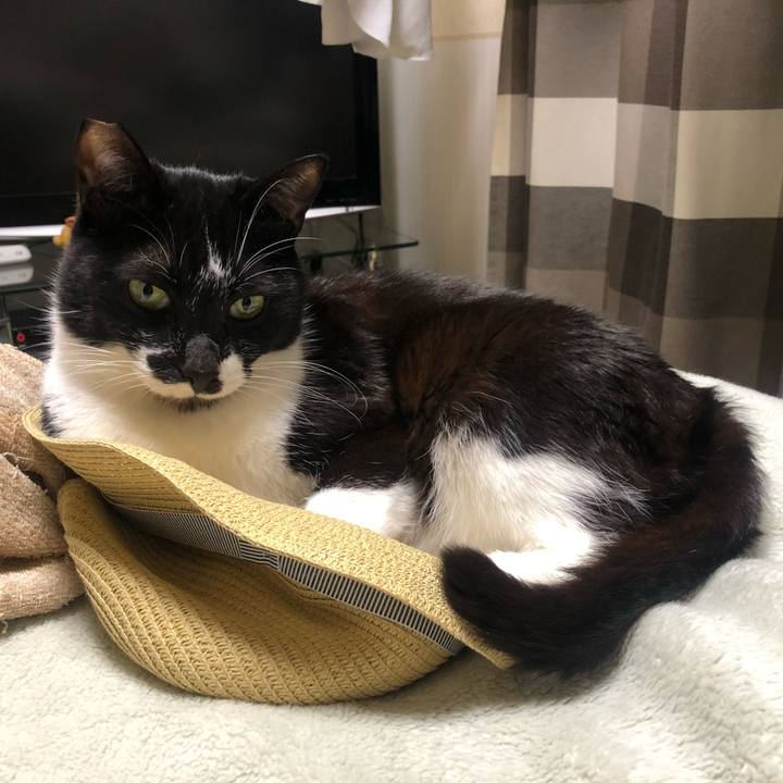 E57d827d ae00 41be 8319 74e6fddc8f37 1618415322896