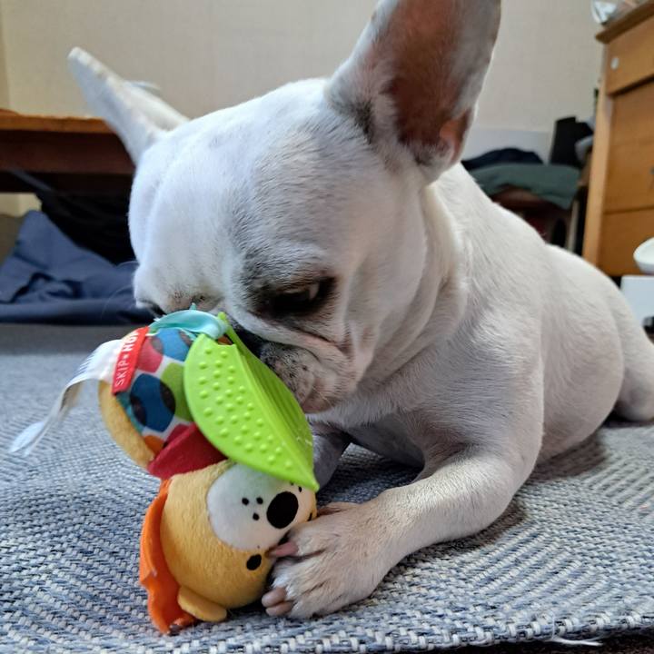 E57d8c42 a83b 47c1 ae37 ce2a0d75acbb 1720738791425